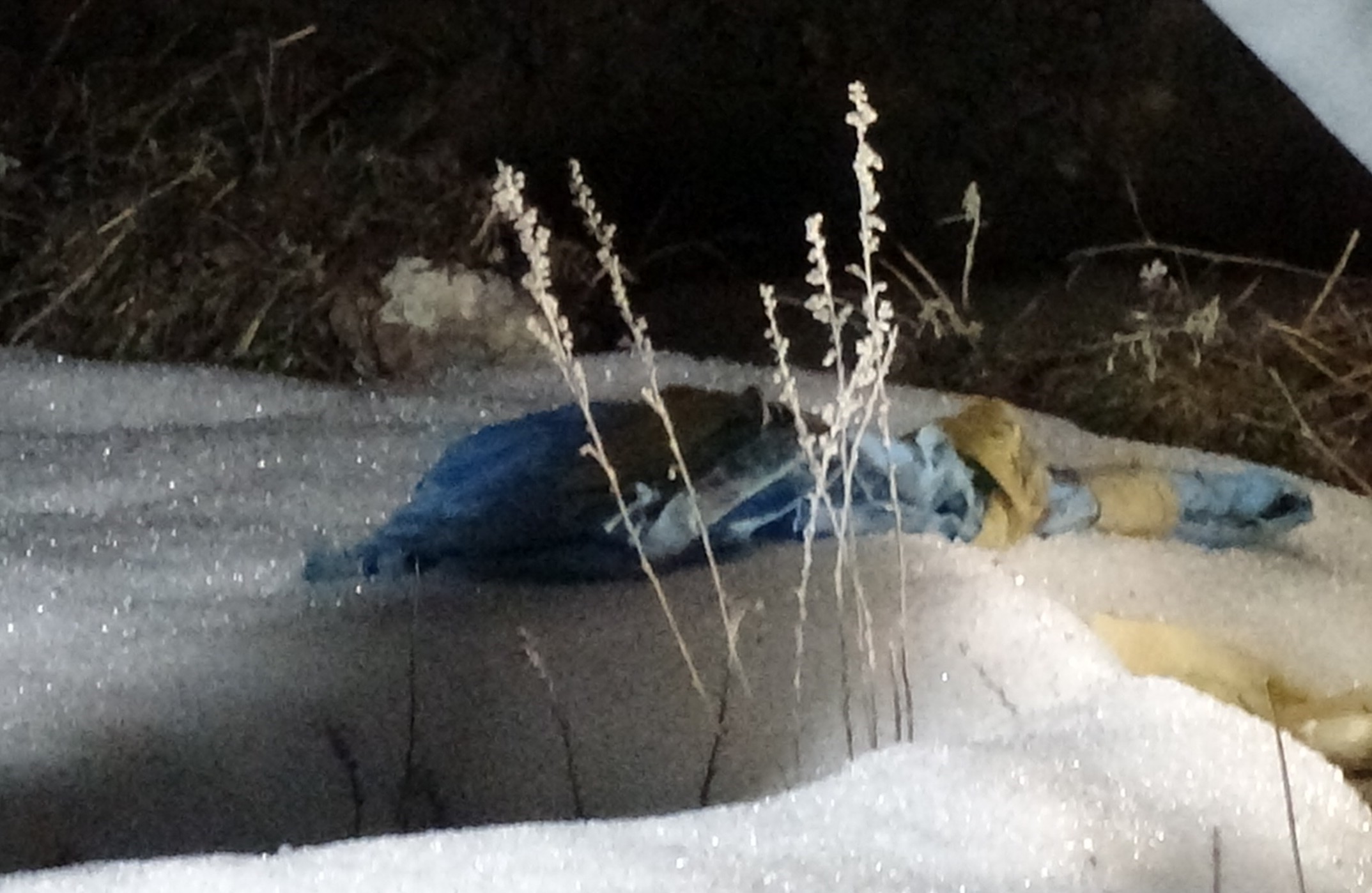 Şok Eden Olay Poşetten Çıkan Cenin Ekipleri Alarma Geçirdi (4)