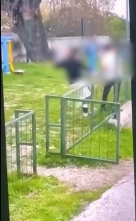 Sosyal Medyaya Dustu Bayilana Kadar Dovdu Arkadaslari Devam Dedi (2)