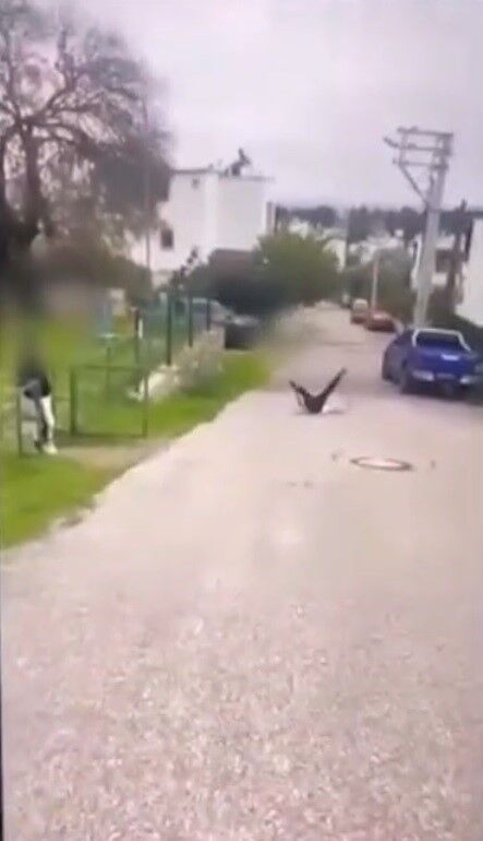 Sosyal Medyaya Dustu Bayilana Kadar Dovdu Arkadaslari Devam Dedi (3)