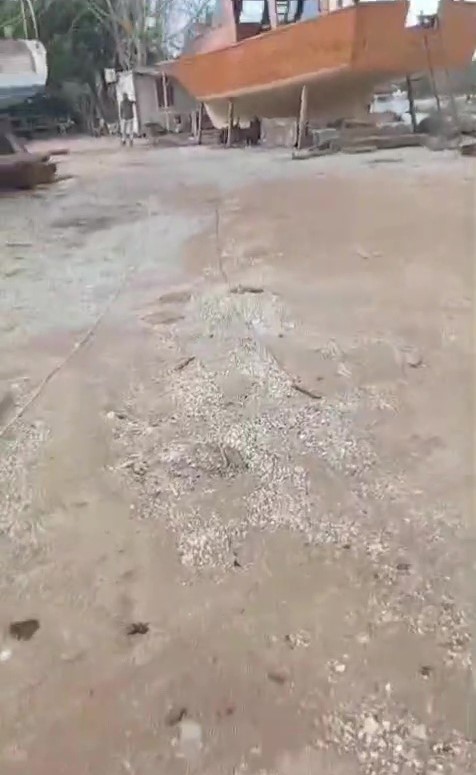 Turkiyeyi Ayaga Kaldiran Olay Kopegi Vurup Kacmaya Calisti (2)