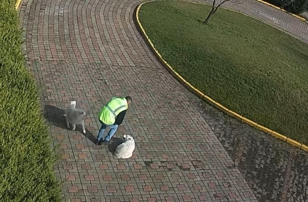 Valiligi Konaginda Feci Olay Ehliyetsiz Bahcivanin Araci Yavru Kopegin Uzerinden Gecti (2)