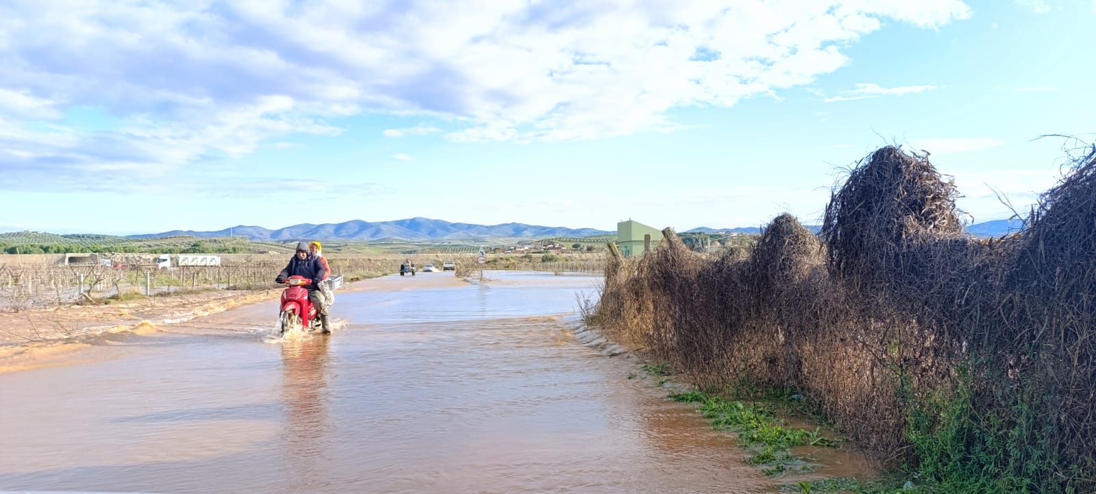 Whatsapp Image 2026 02 06 At 14.09.52 (3)