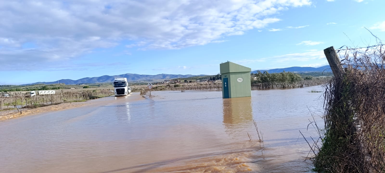 Whatsapp Image 2026 02 06 At 14.09.52