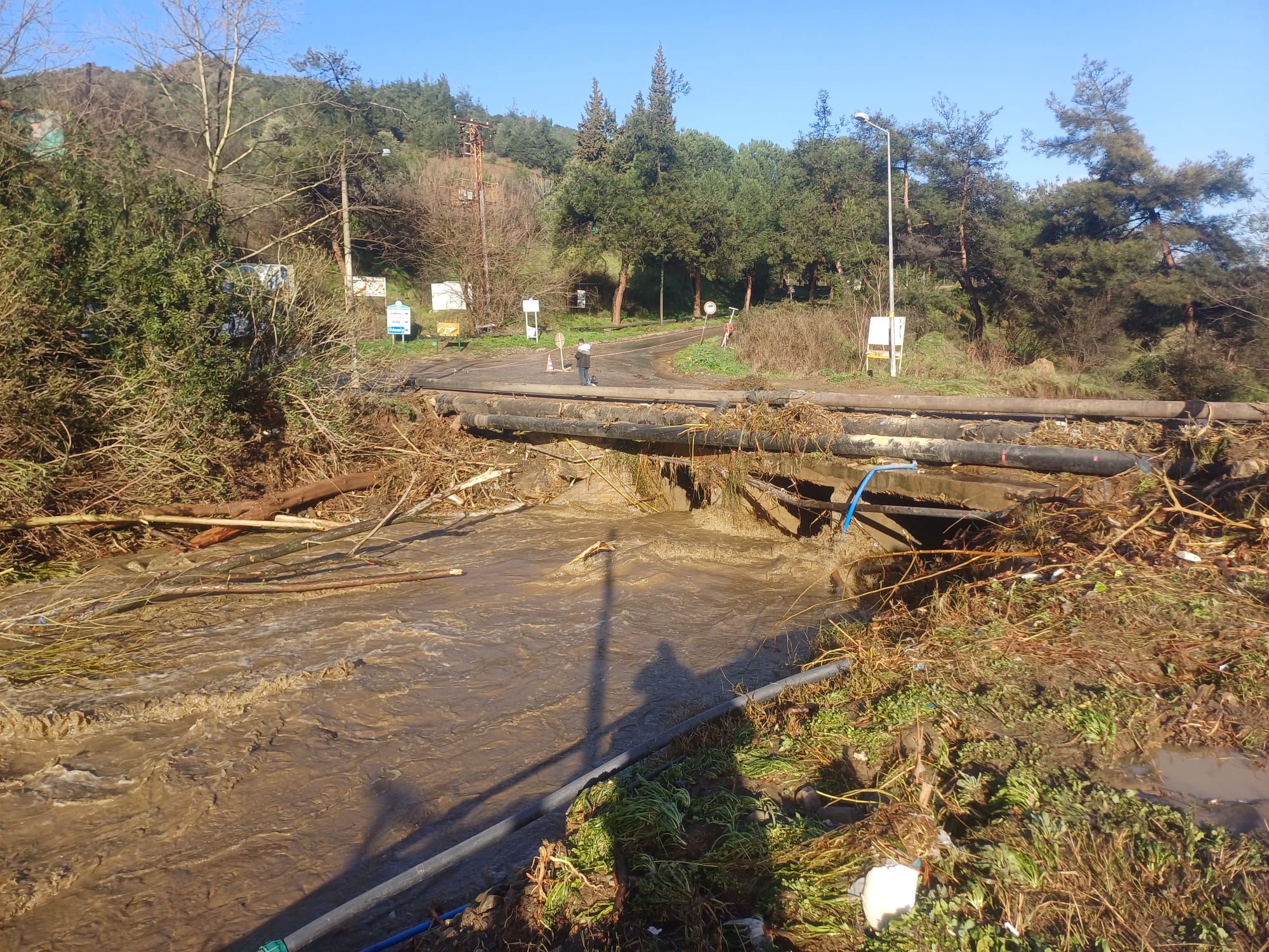 Whatsapp Image 2026 02 07 At 12.20.40