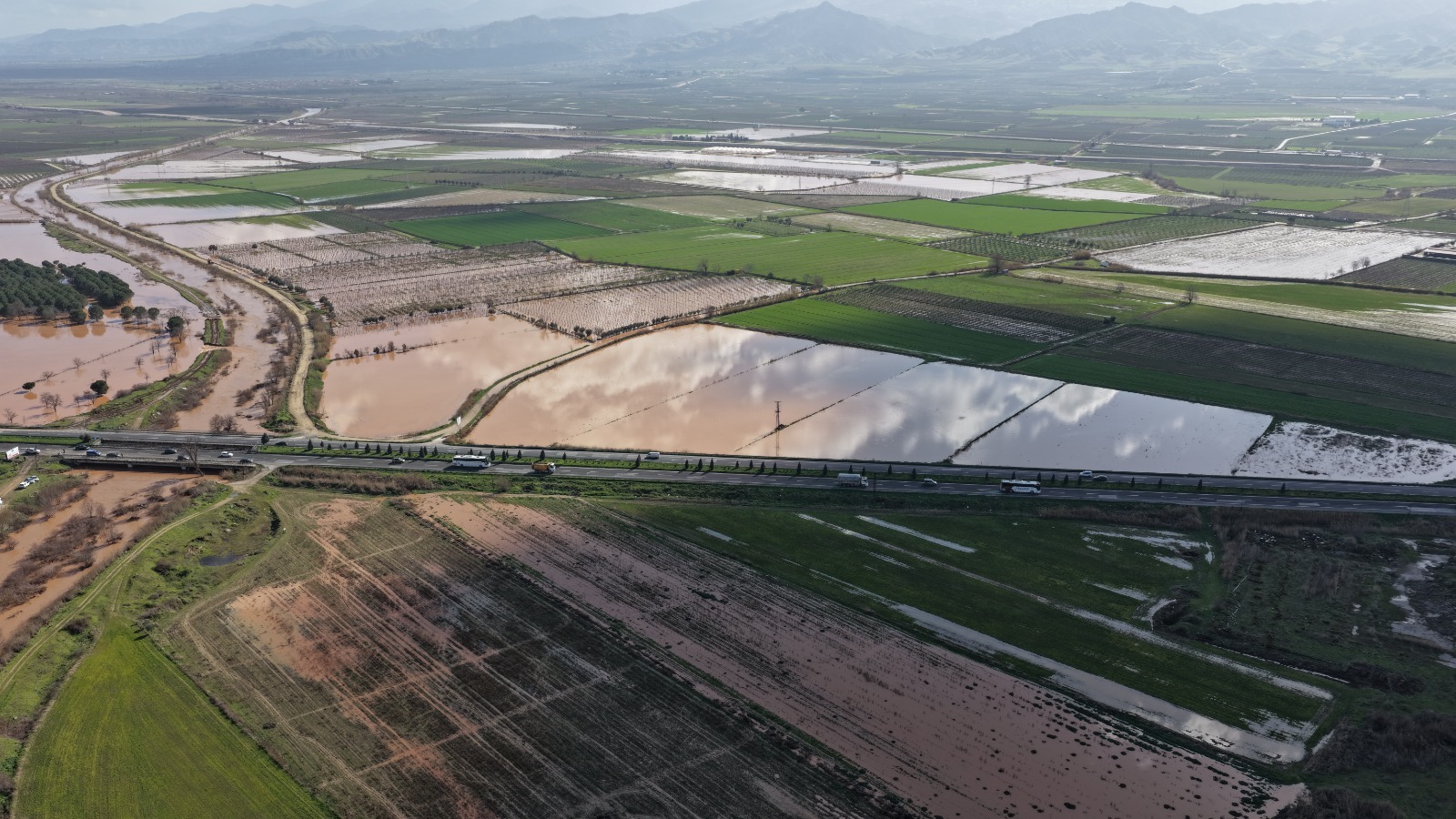 Whatsapp Image 2026 02 07 At 16.45.13