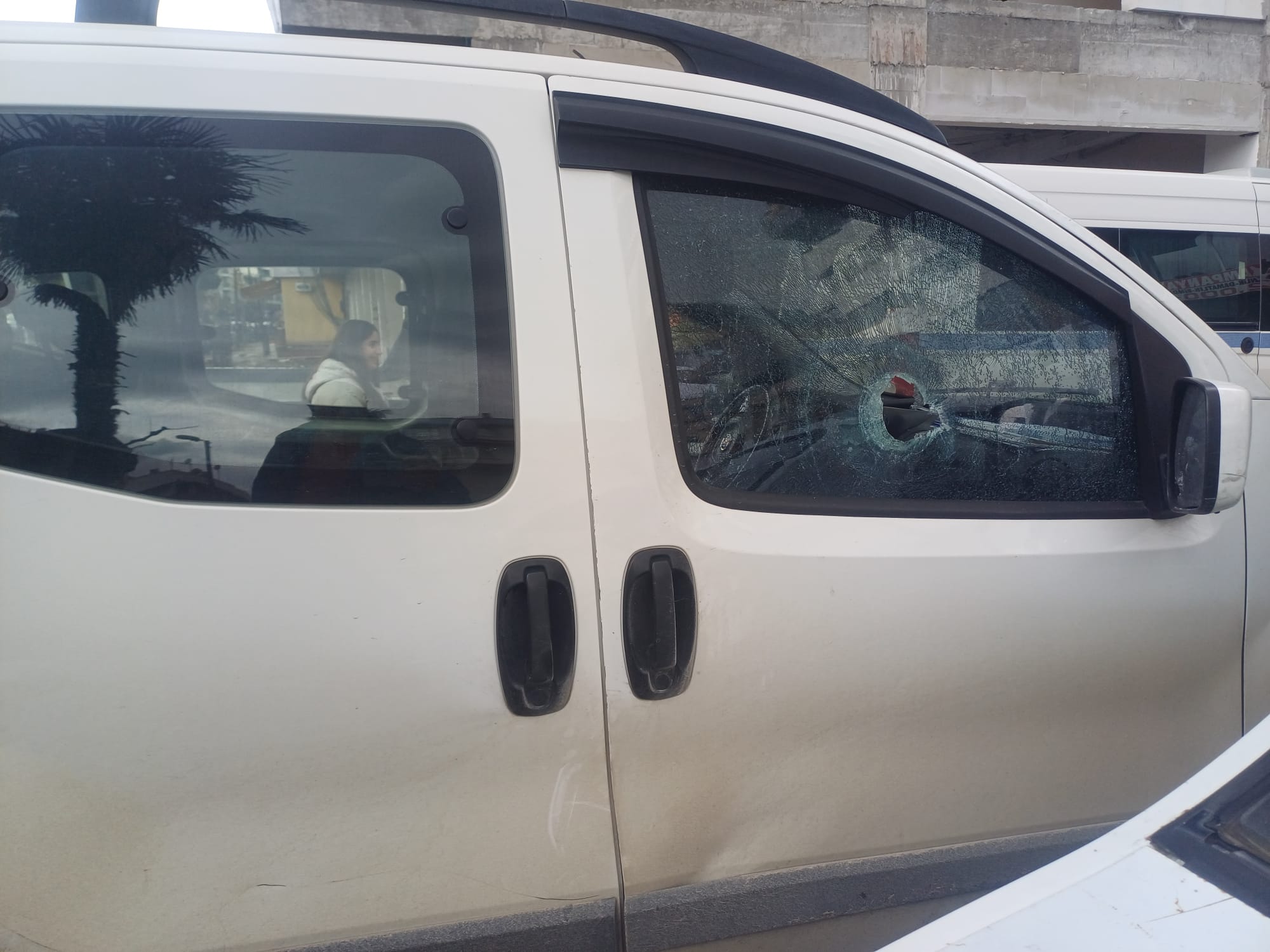 Whatsapp Image 2026 02 13 At 16.34.33-1