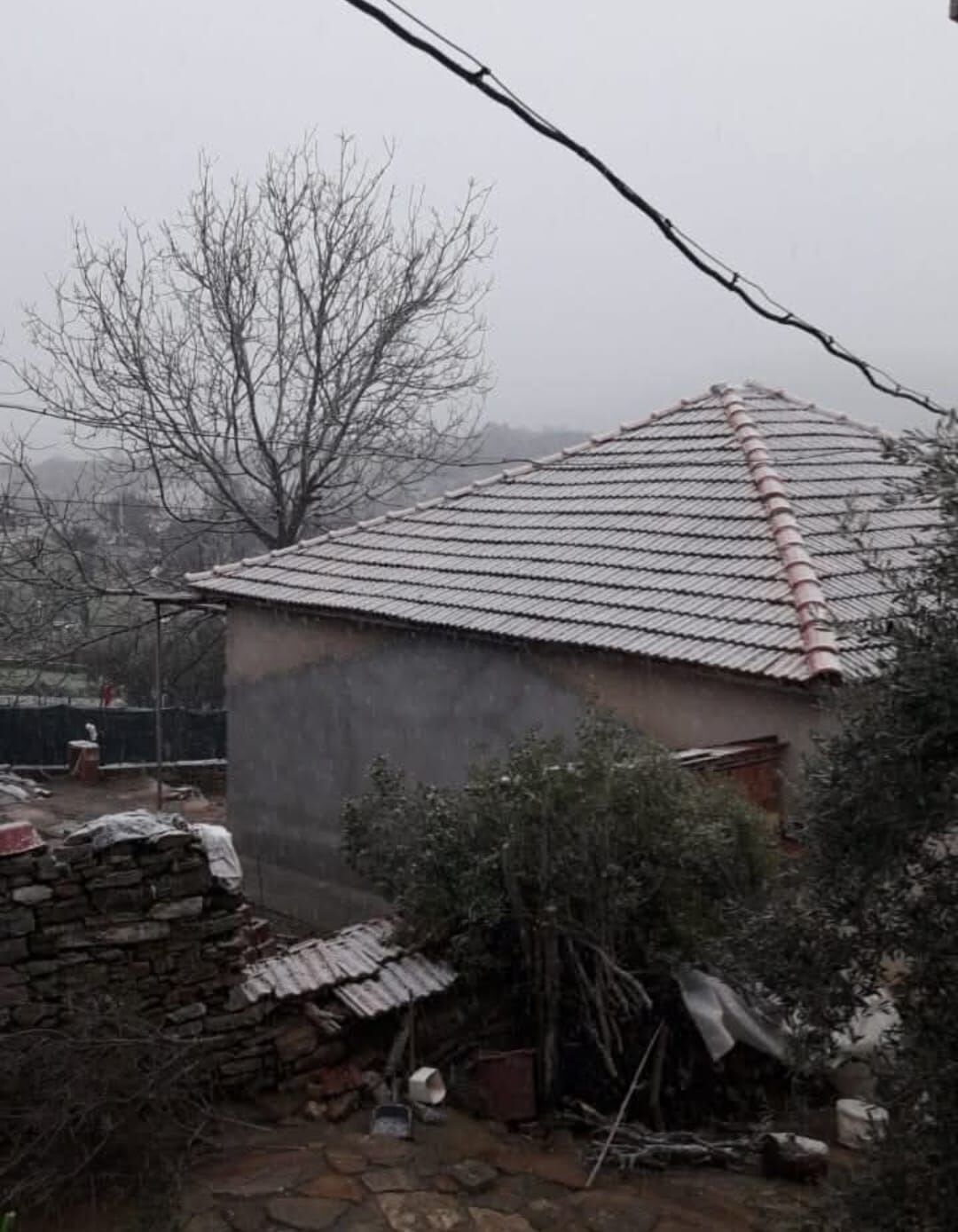 Whatsapp Image 2026 02 26 At 10.09.30