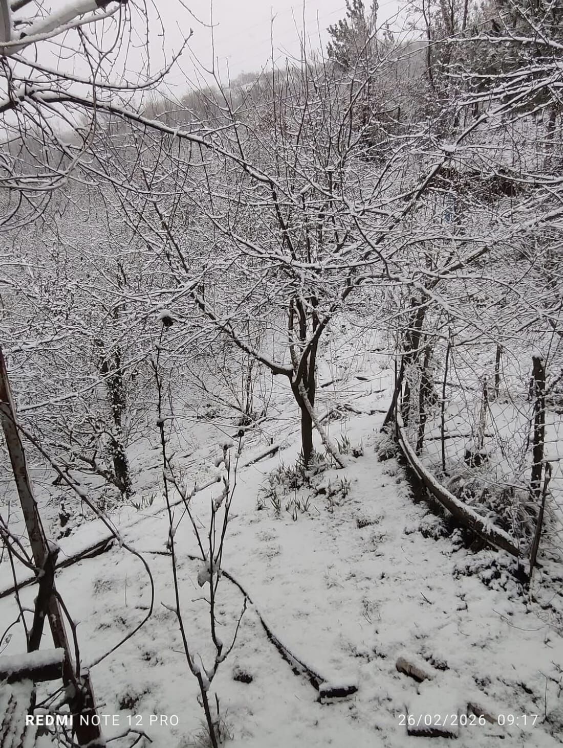 Whatsapp Image 2026 02 26 At 10.27.22