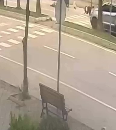 Yaya Gecidinde Facia 17 Aylik Bebek Hayatini Kaybetti Surucu Ehliyetsiz Cikti (2)