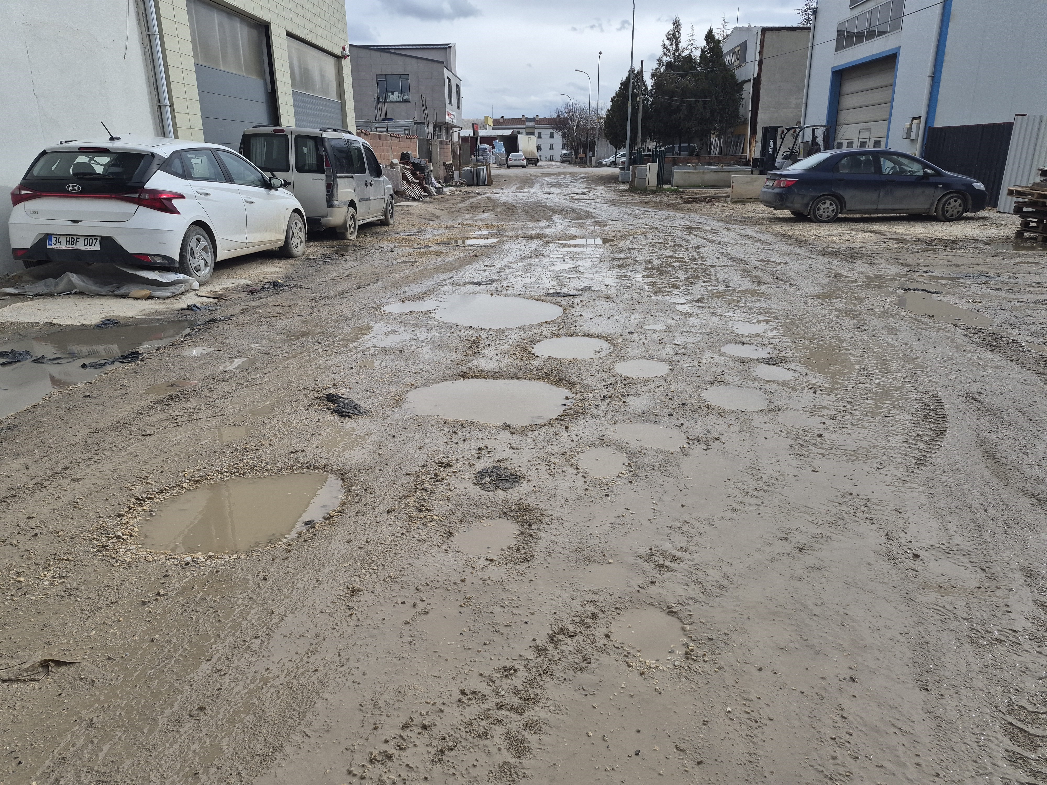 Yillardir Cozulmedi Sanayi Esnafi Gole Donen Yolda Balik Tuttu (3)