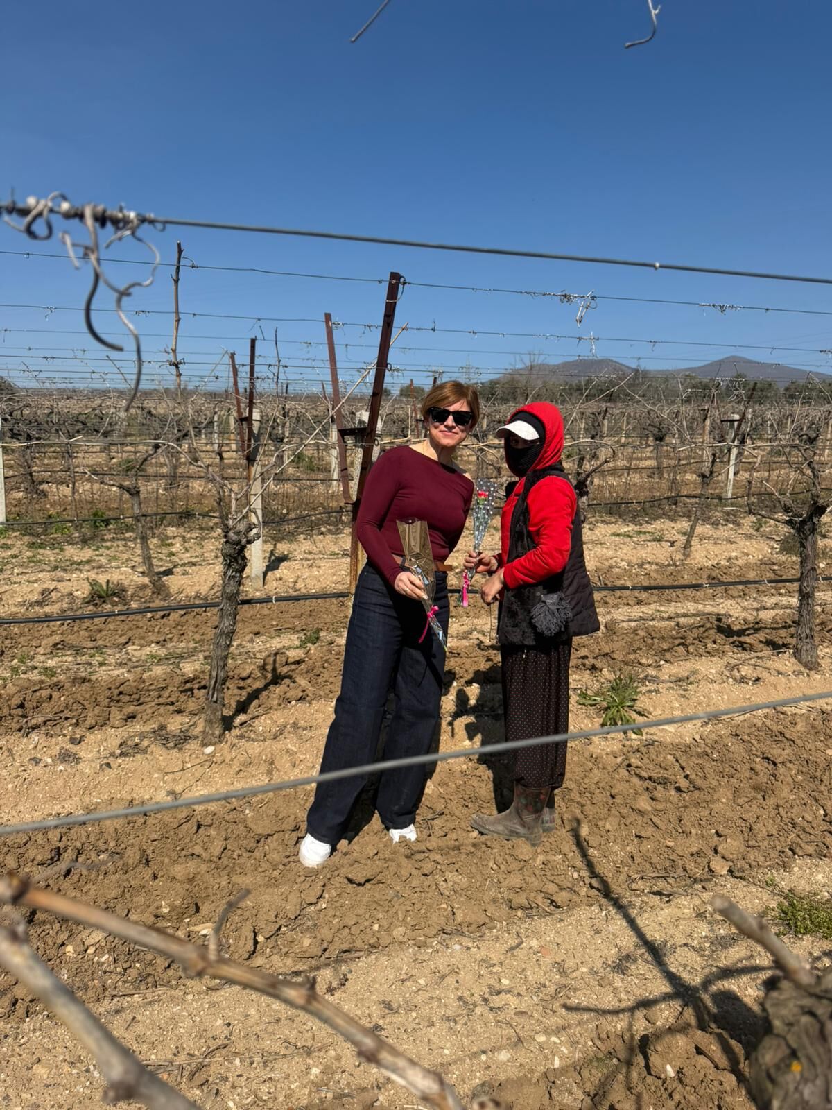 1D69Efe5 9Ade 48F3 B9A2 B8D3Cf45E09C