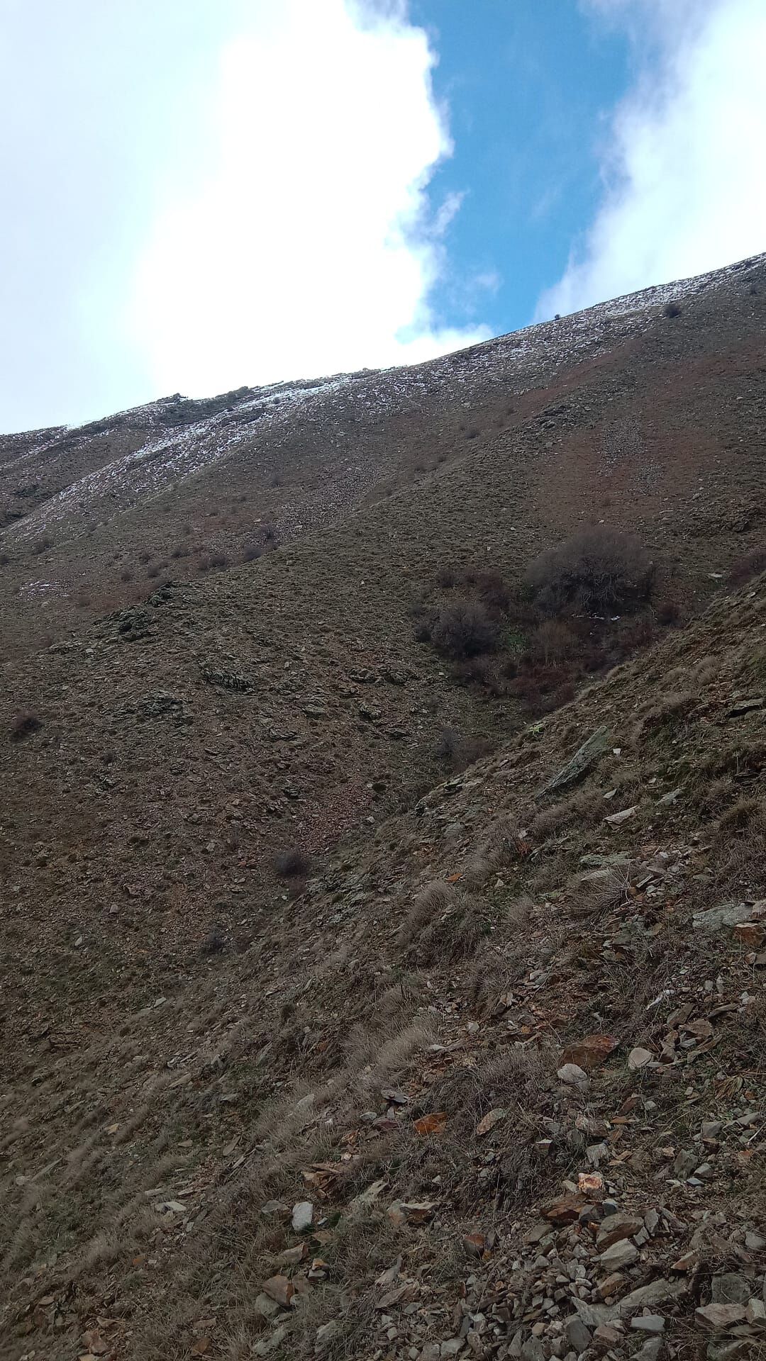 2E88E555 4774 4D32 9Aae 6856Fe3A5726