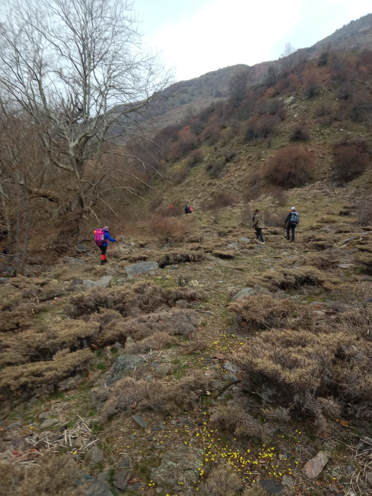 442E334B D82C 44Bb 8Be7 4531B03E0Cae