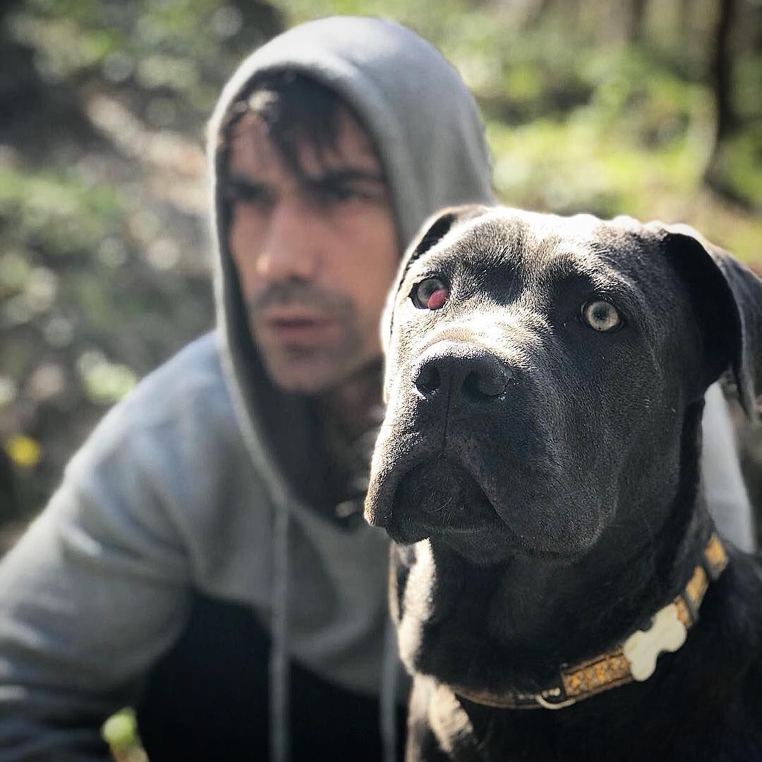 639915816 18566285653046557 6641479783752612278 N