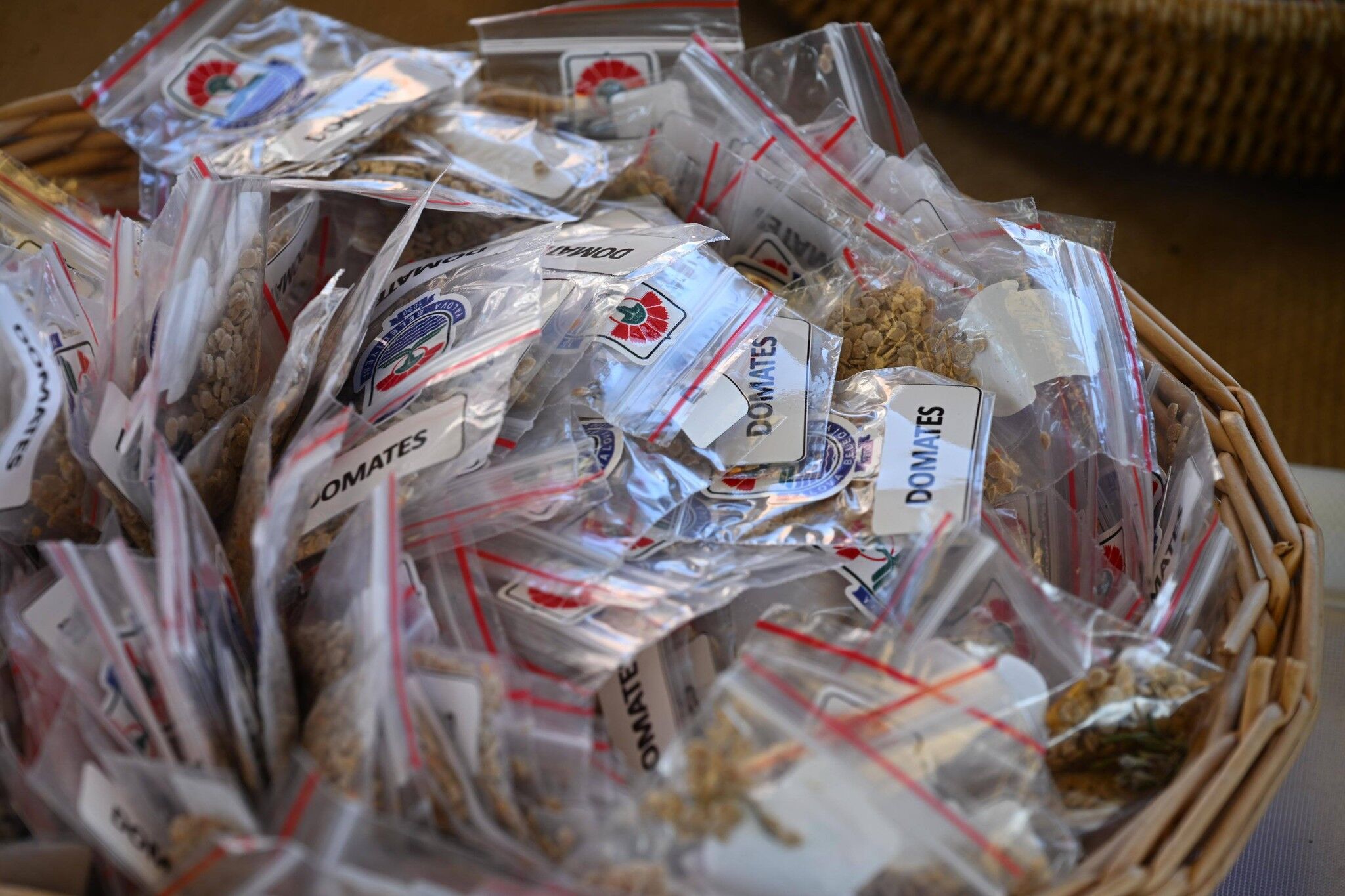 643891153 1327859462484760 7817508633589314670 N