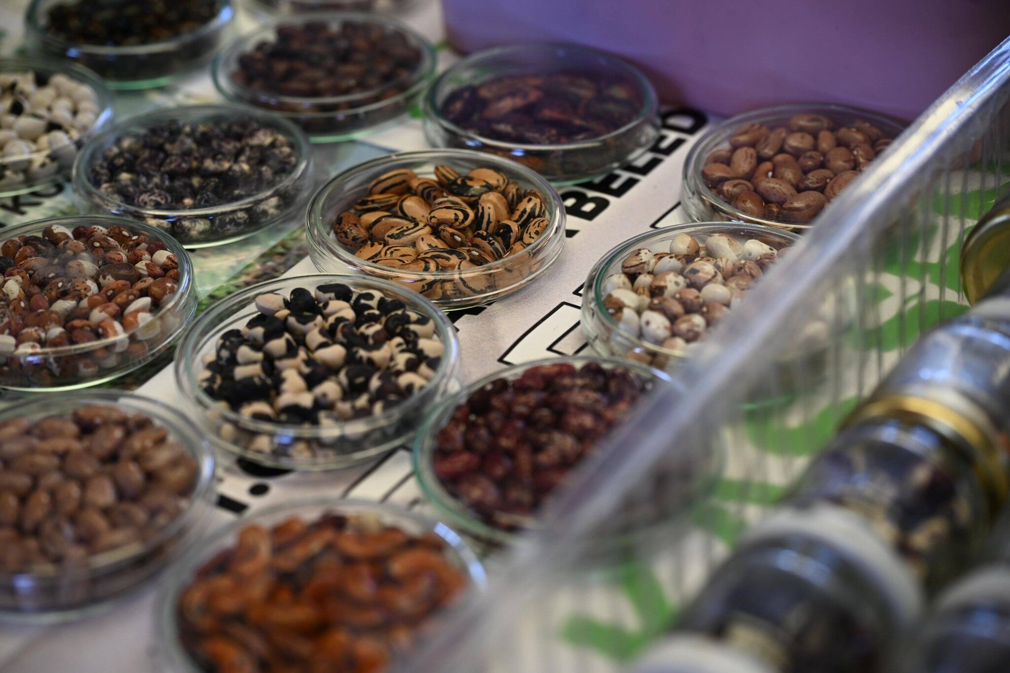 643892595 1327858642484842 8888105289505367441 N