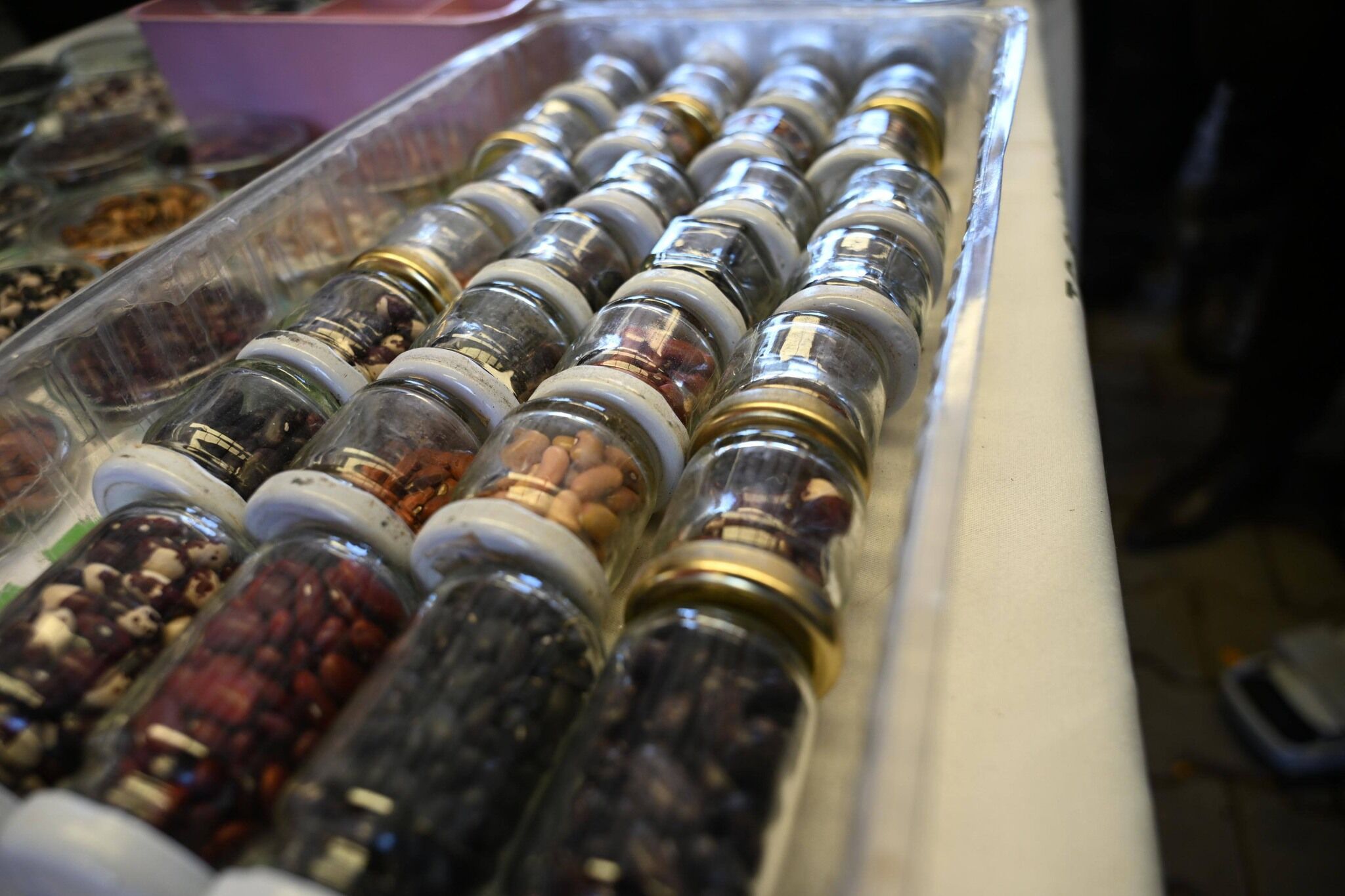 645733660 1327858432484863 1162414830489239276 N