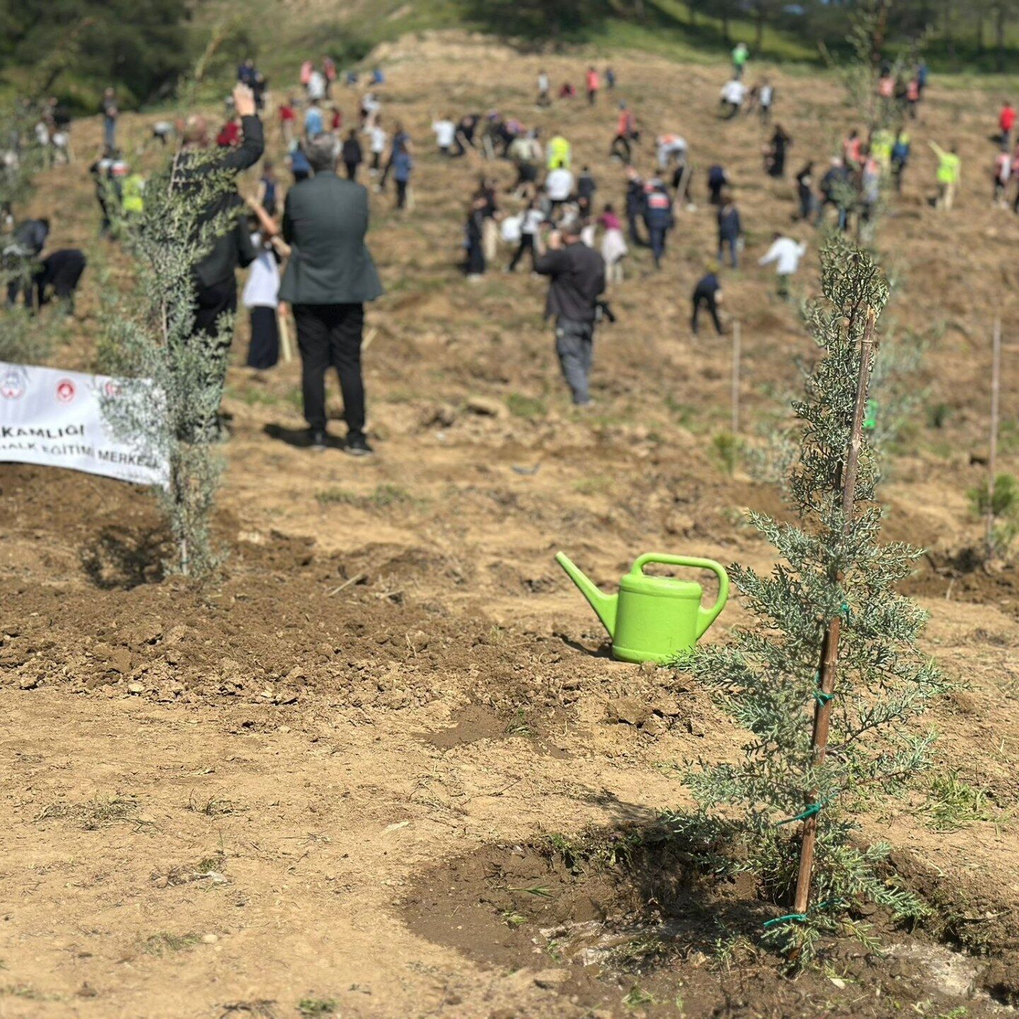 659191598 1749118686066081 1771527855871609991 N