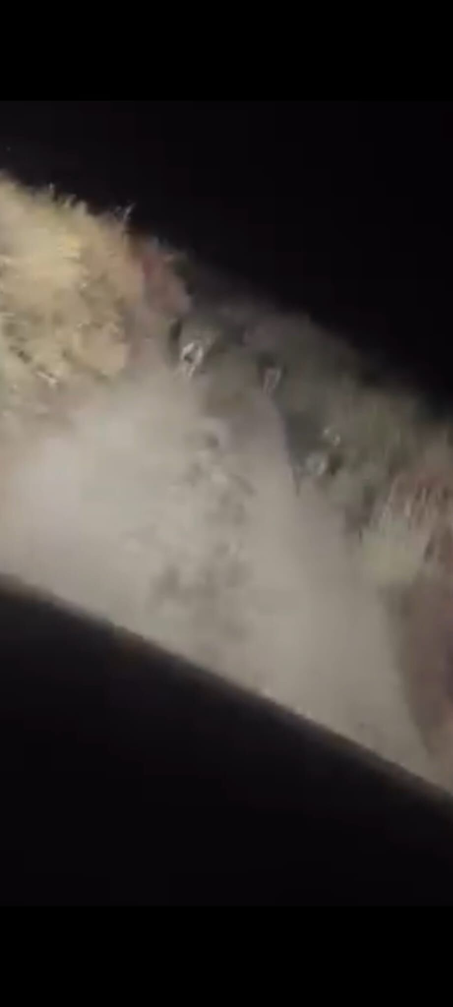 7772Ae15 1B60 41C0 Ba65 3909A5918D5A