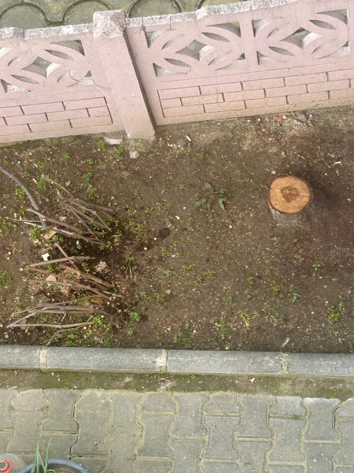 79Dfb4D7 45Fd 4Fbe B9B0 4286A5665272