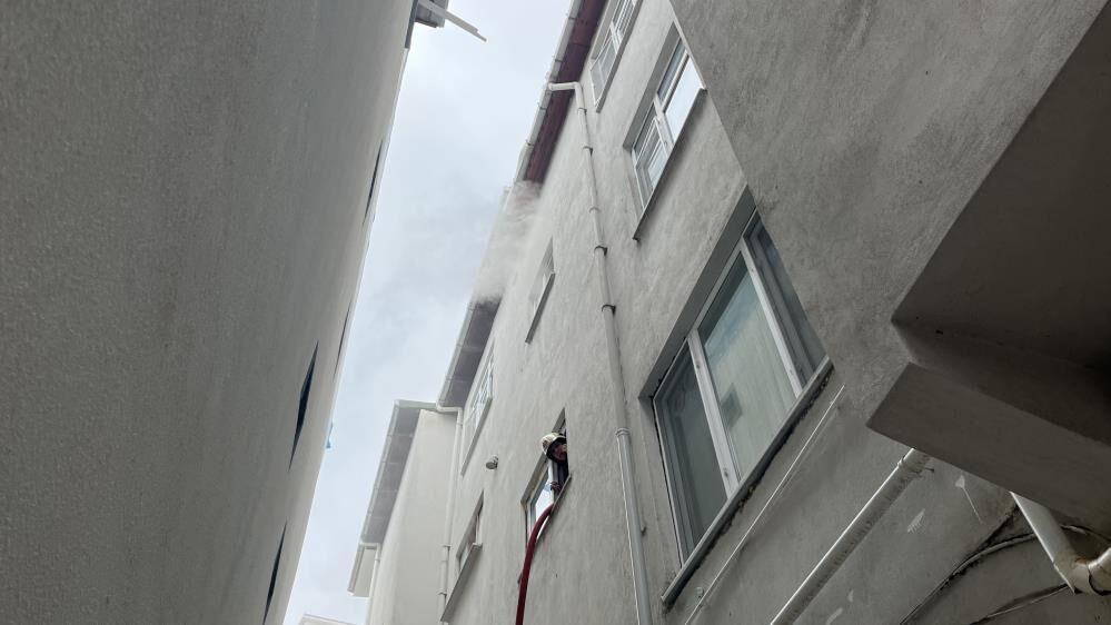 Alevlerin Arasina Daldilar Kedileri Icin Canlarini Hice Saydilar (1)