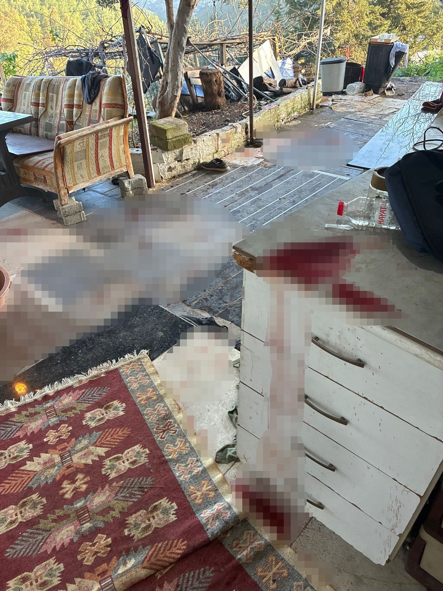 Almanyadan Gelip Ablasini Oldurdu Ablasini Oldurdu Enistesini Agir Yaraladi (5)