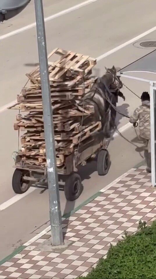 Asiri Yuk Altinda Can Cekisen At Kamerada Goruntuler Sosyal Medyayi Ayaga Kaldirdi (2)