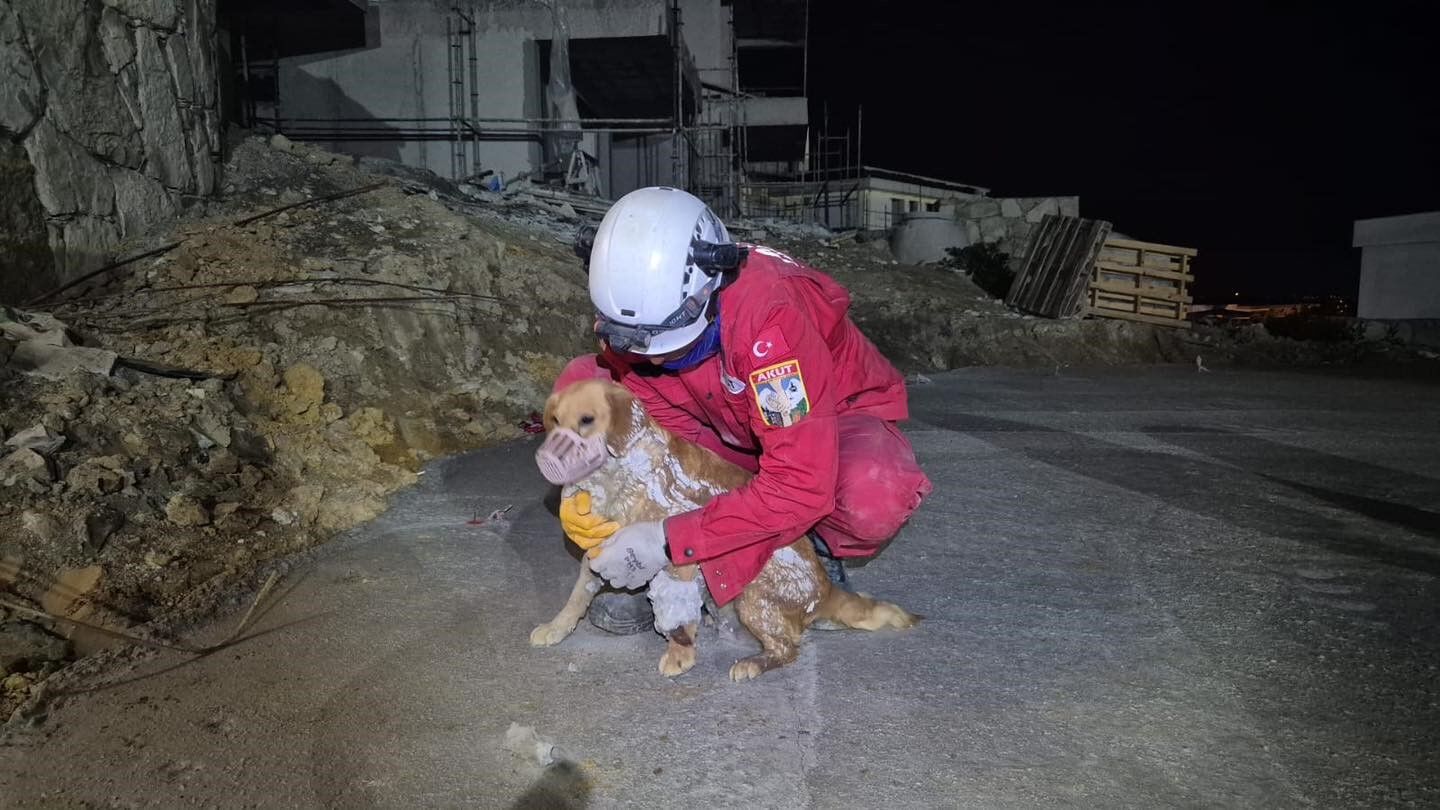 Betonun Icinde Mahsur Kaldi Ekipler Seferber Oldu Kurtarildi (4)