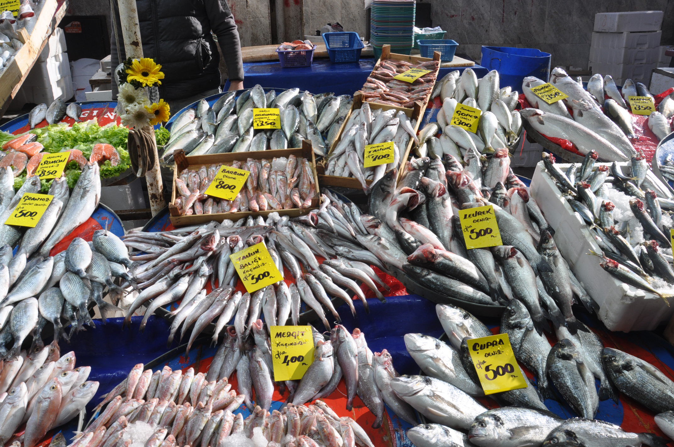 Çarşamba Balik Pazari Sali̇hli̇ (4)