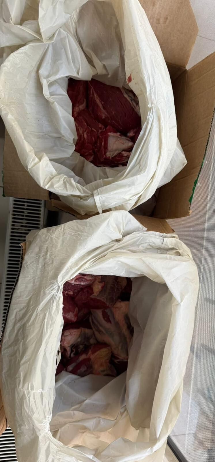 D3154C31 Bdd4 4E45 B609 7Df0Bc5F5A35