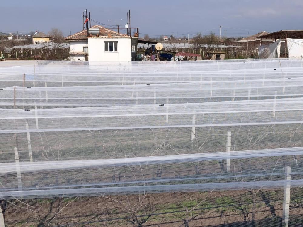 Dolu Manisa Önlem (2)