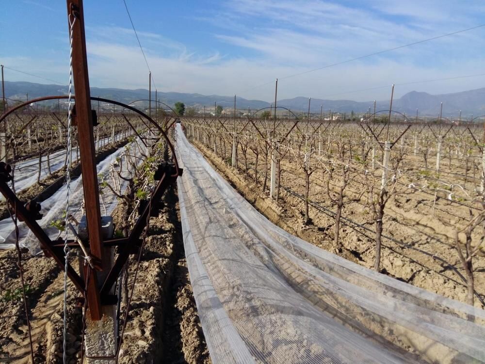 Dolu Manisa Önlem (4)