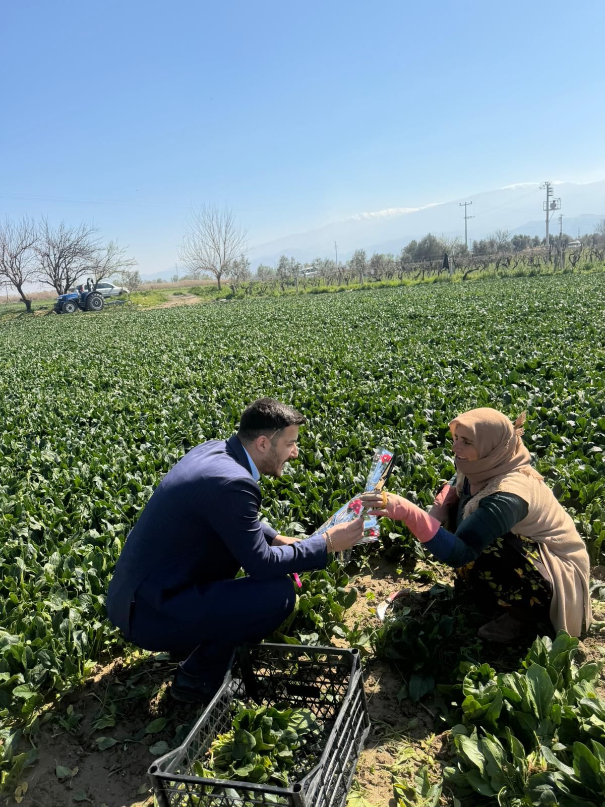 E66612B7 06B4 4152 97Cd 942433892073