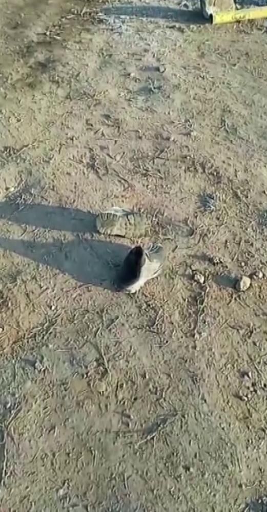 Ekmek Parasi Icin Cikti Fuze Hayatini Aldi Baba Oglunun Son Izlerini Gosterdi (6)