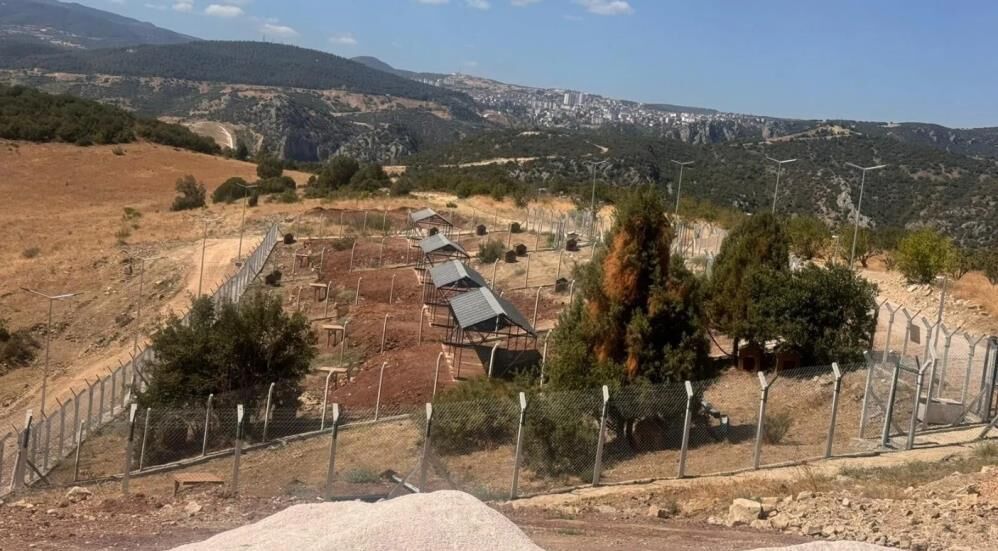 Eksiklikler Nedeniyle Acilmiyor Sokak Hayvanlari Dogal Yasam Alaninin Akibeti Belirsiz (1)