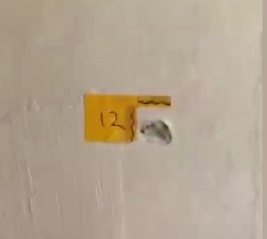 Ev Basan Maskeli 4 Kisi Dehset Sacti Kendilerini Polis Olarak Tanitan 4 Kisi Anne Ve O (2)