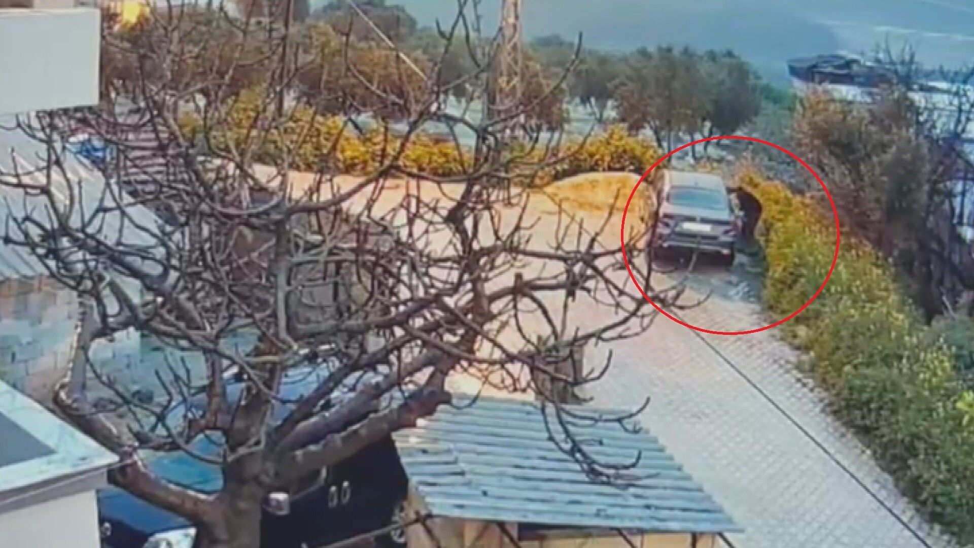 Evin Onunde Park Halindeydi Benzin Doktu Araci Yakti Kacarken Kendisi De Yandi (6)