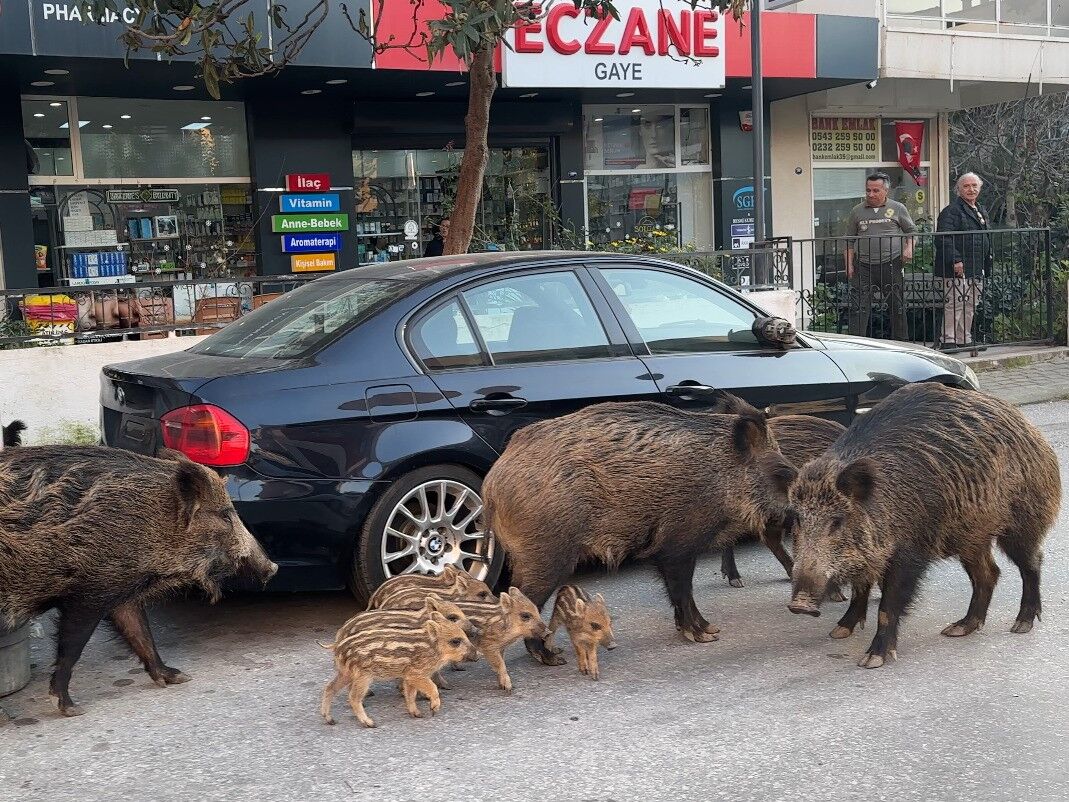 Evlerin Arasina Kadar Girdiler Vatandaslar Neye Ugradigini Sasirdi (2)