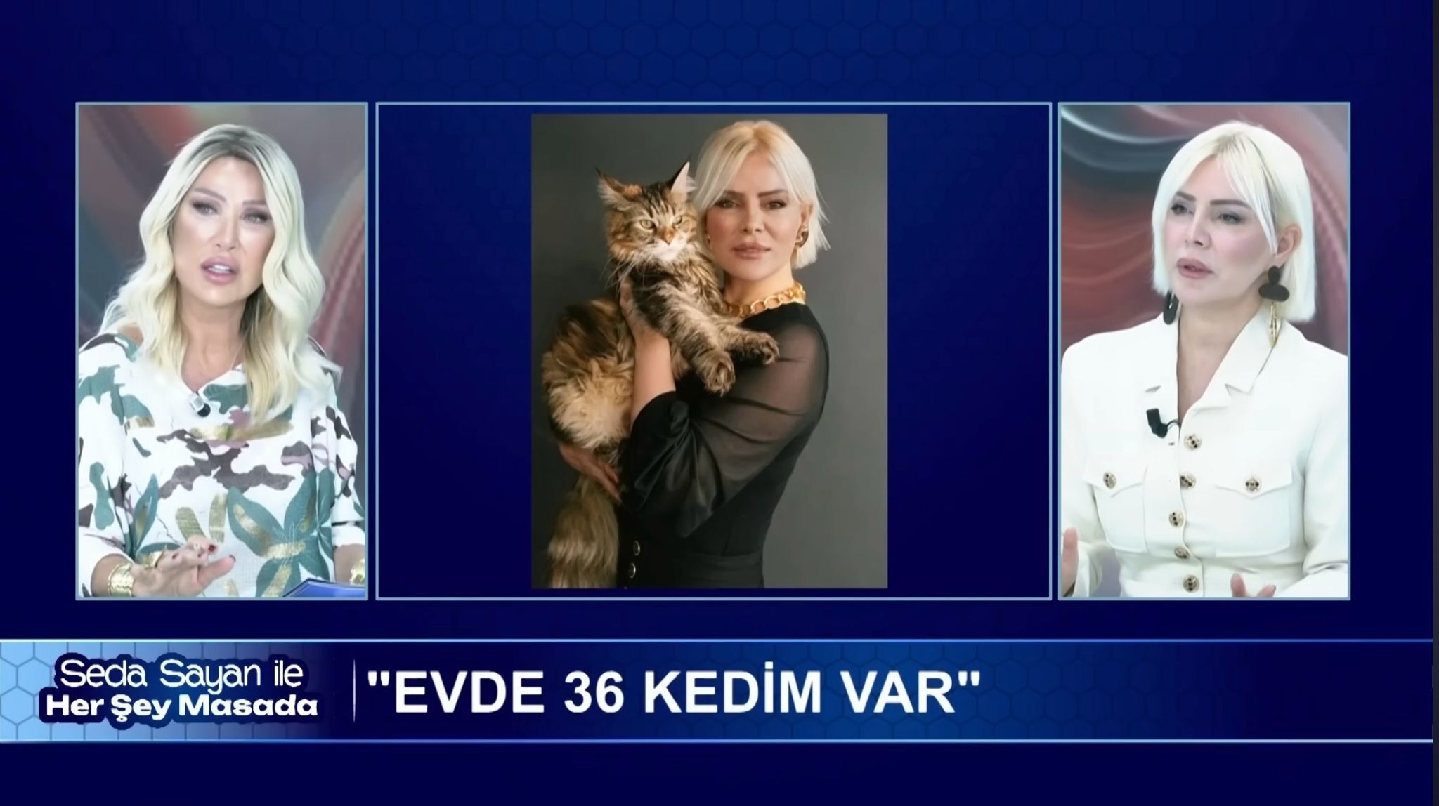 Hayvan Sevgi̇si̇ Mi̇, Hi̇jyen Tartişmasi Mi