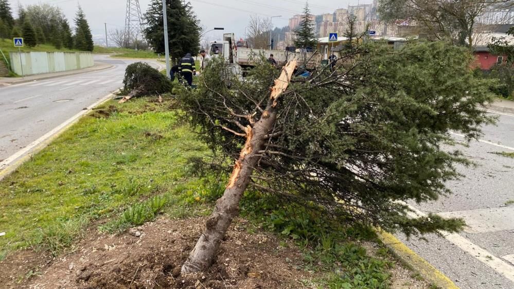 Malzeme Yola Sacildi Agaclar Yerinden Sokuldu Kamyon Kazasi Arac Kamerasina Yansidi (1)-1