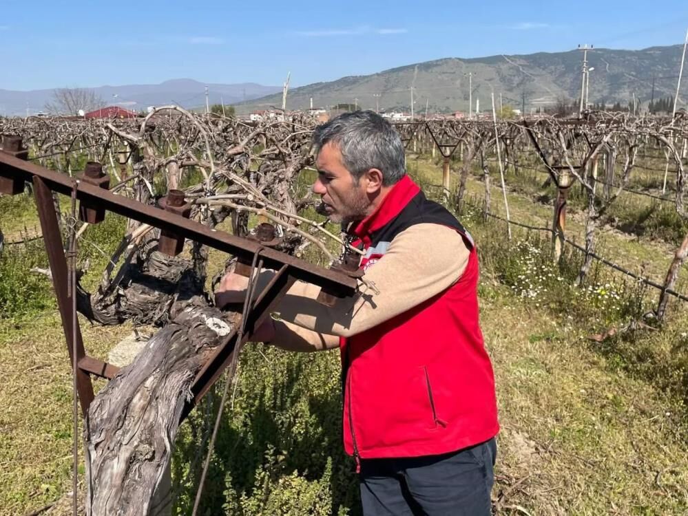 Manisada Uzum Ureticilerine Hastalik Ve Zararli Uyarisi (2)