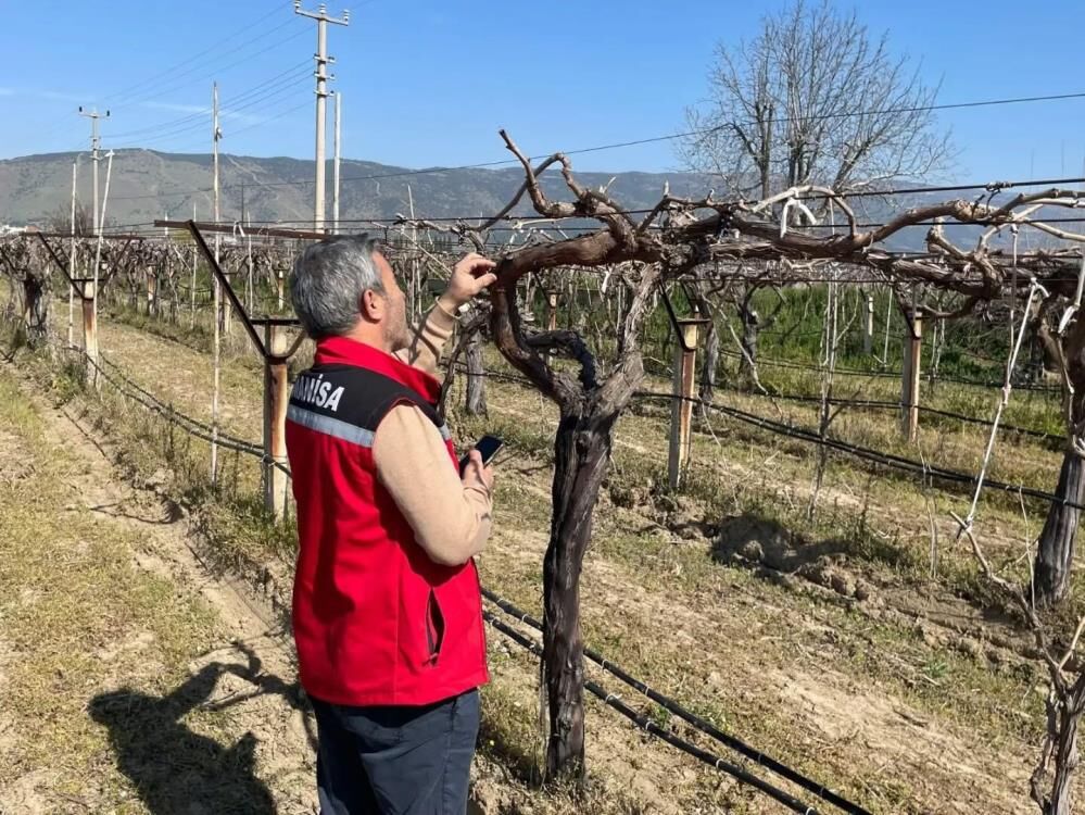 Manisada Uzum Ureticilerine Hastalik Ve Zararli Uyarisi (3)