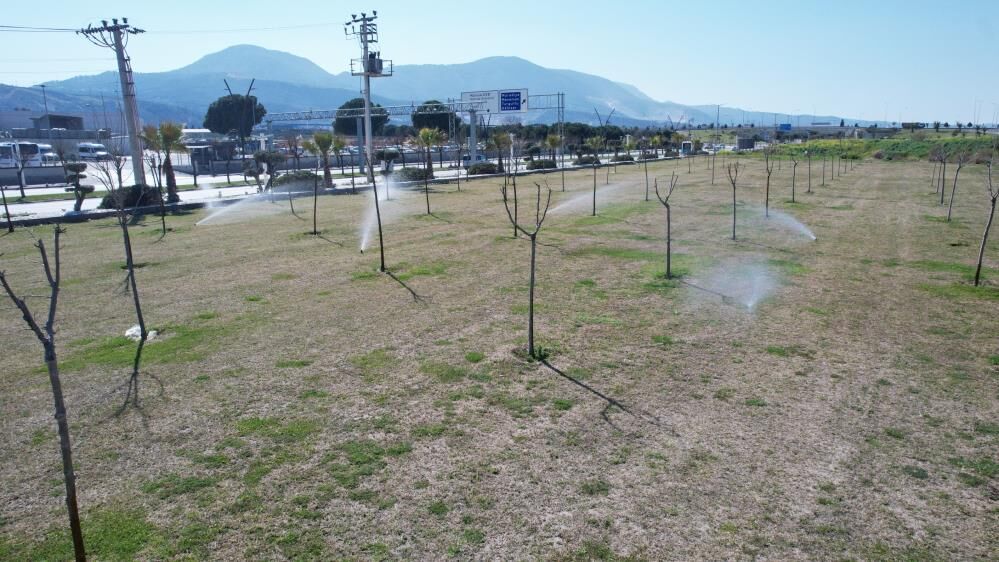 Manisada Yesil Alanlar Artik Yapay Zeka Ile Sulanacak (2)