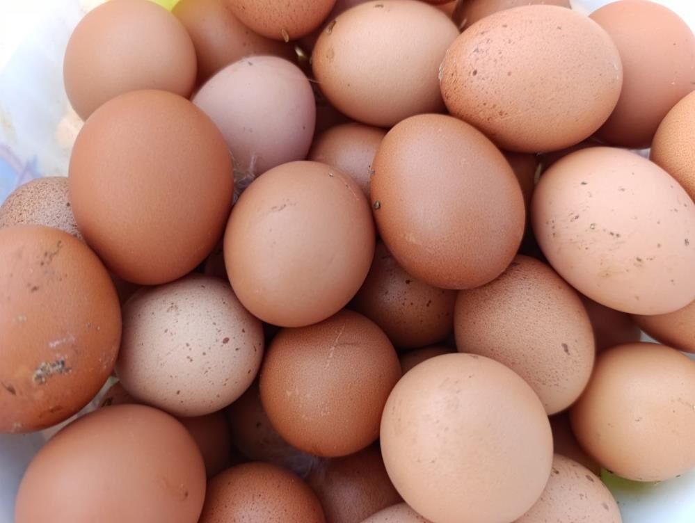 Manisalı Genç Yumurta (3)