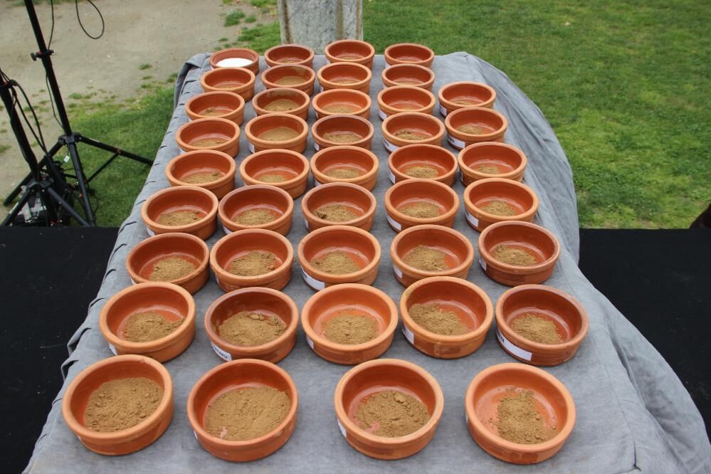 Nevruz Ve Mesir Macunu Gelenegi Bir Arada Manisada Bayram Senligi (7)