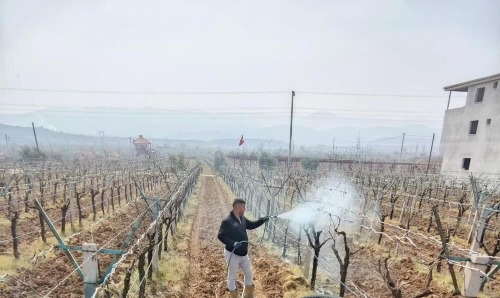 Ölü Kol Hastalığı (2)