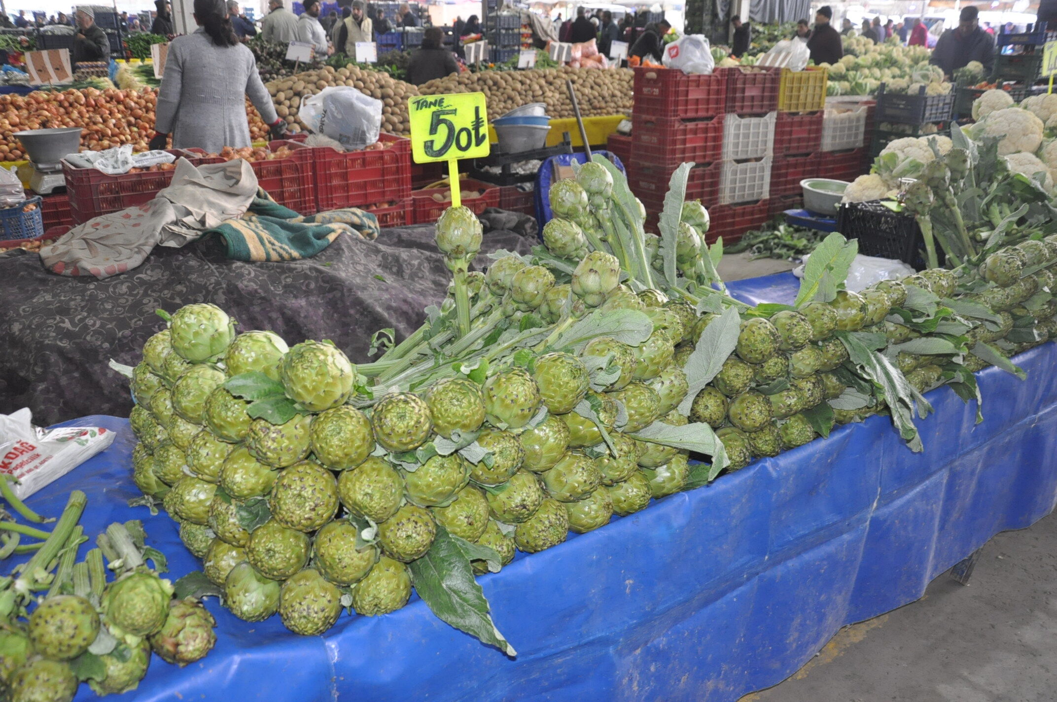 Onay Ozan Pazar Günlükleri̇ (11)