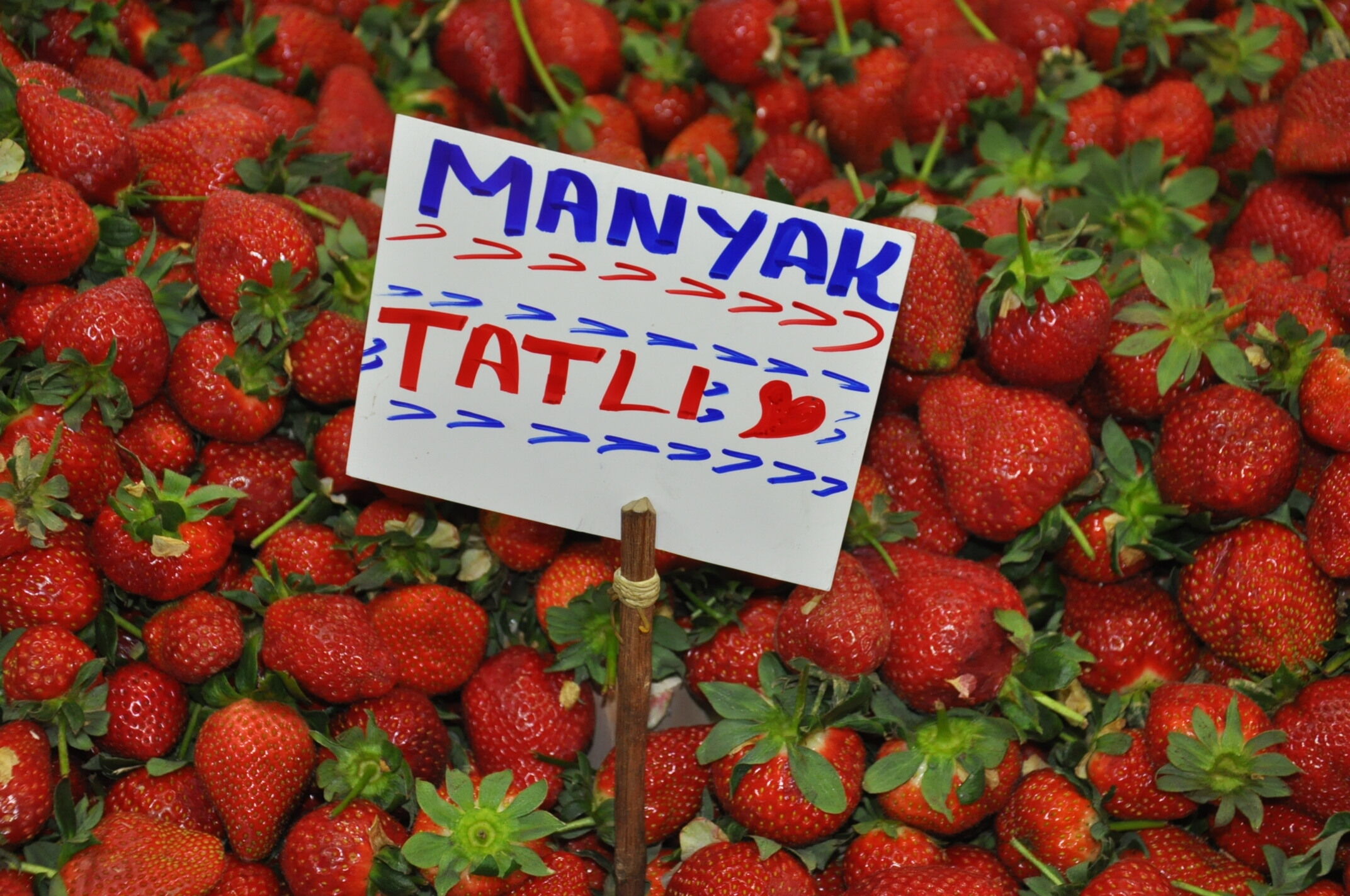 Onay Ozan Pazar Günlükleri̇ (17)