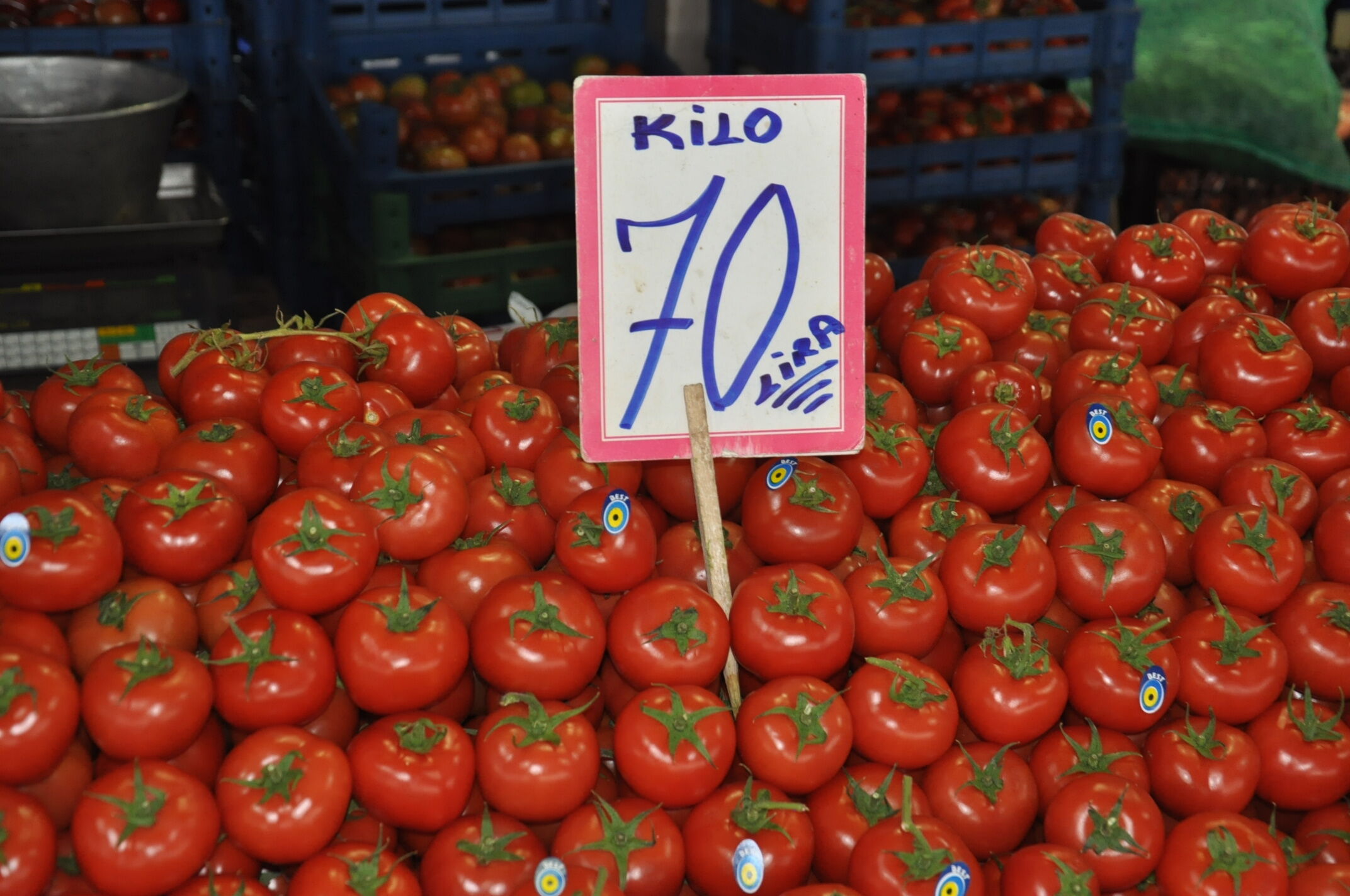 Onay Ozan Pazar Günlükleri̇ (4)