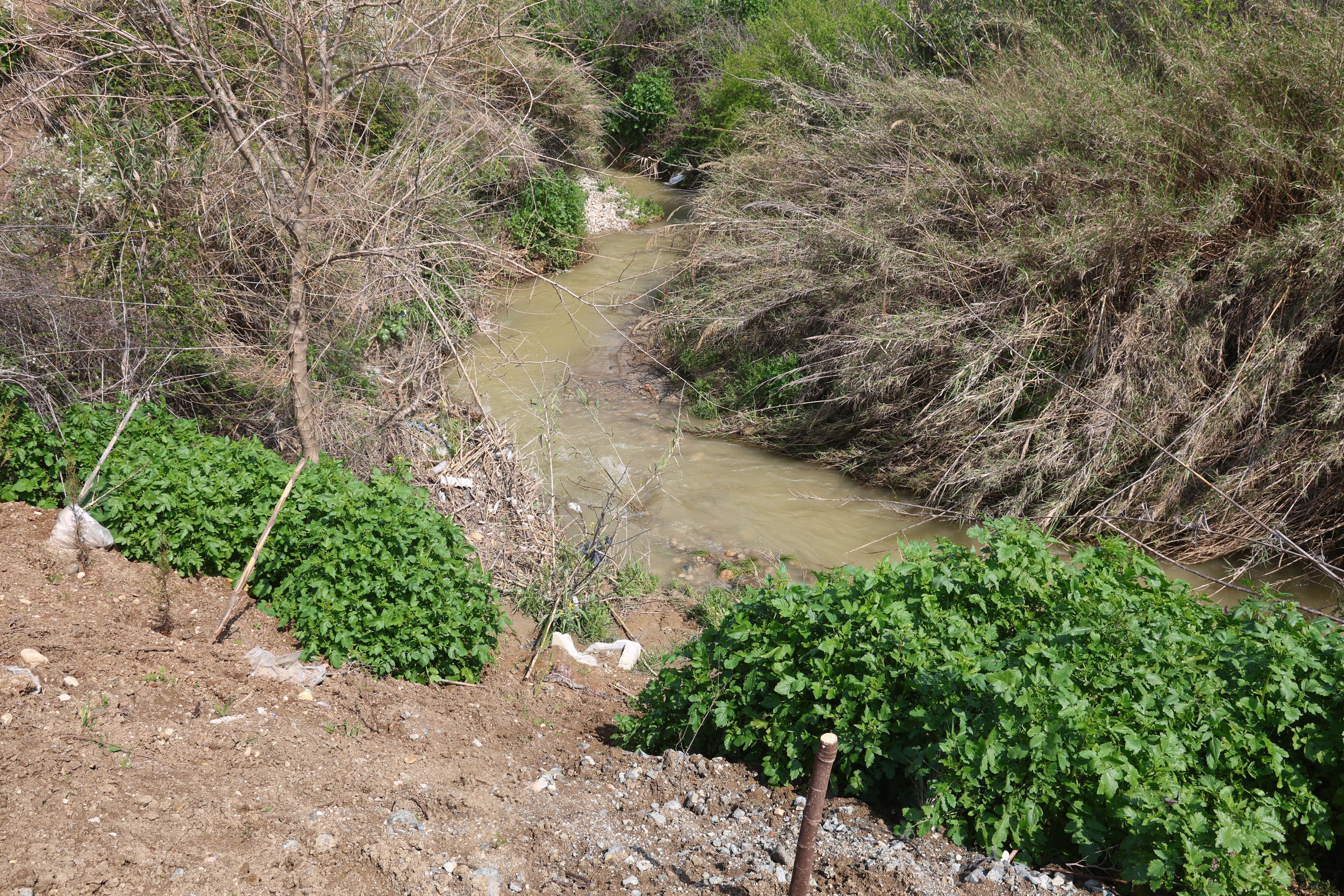 Oyun Oynarken Canindan Oldu Acili Babanin Yurek Yakan Feryadi Sadece Terligi Kalmisti (6)